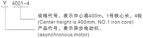 西安泰富西玛Y系列(H355-1000)高压YJTFKK5605-6三相异步电机型号说明